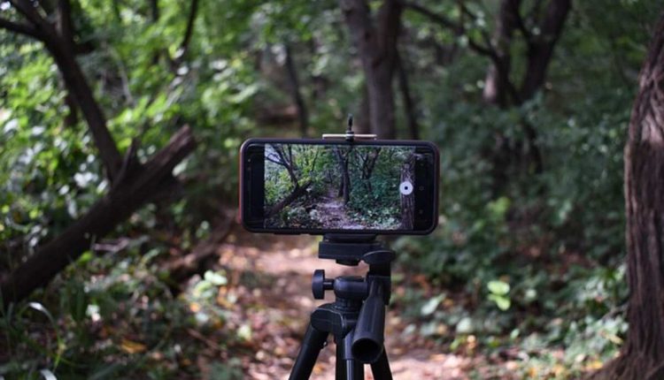 Trail Cameras
