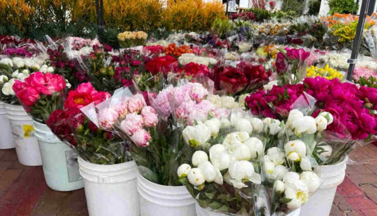 Flower Preservation Near Me in NYC