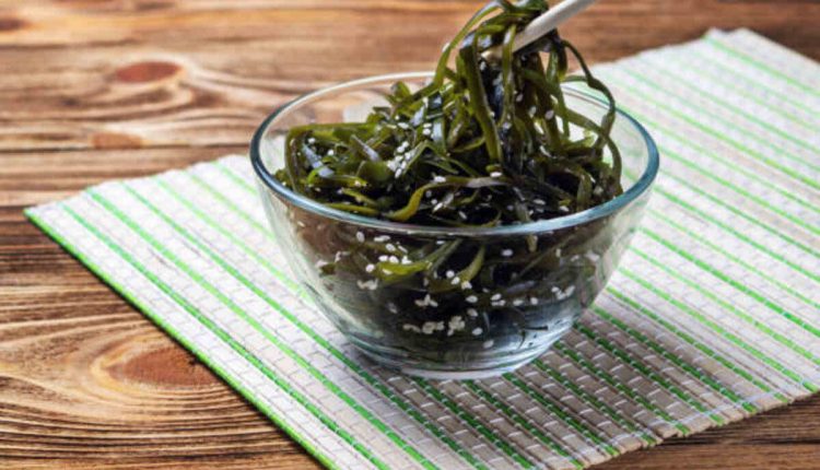 Can I Make a Sail Out Seaweed?