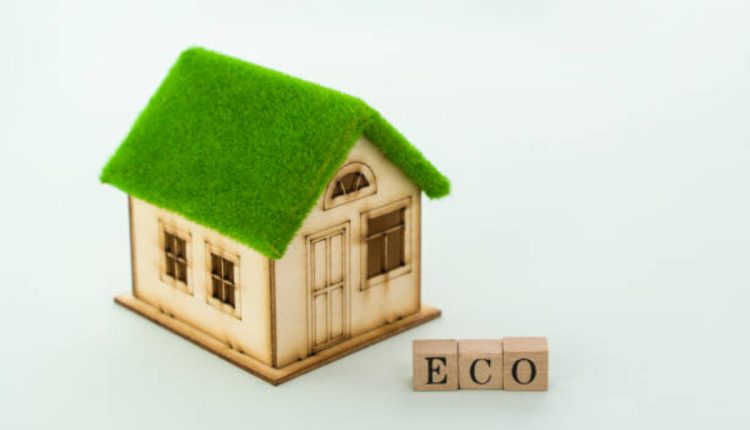 Who Benefits From a Green House to Rent?