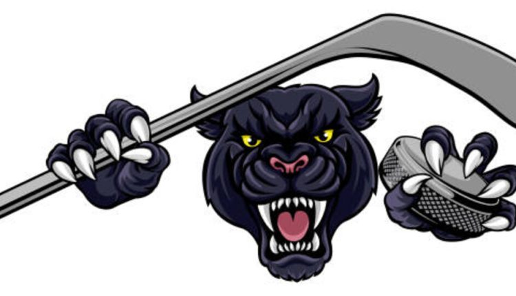 Keystone's Cougar Sport