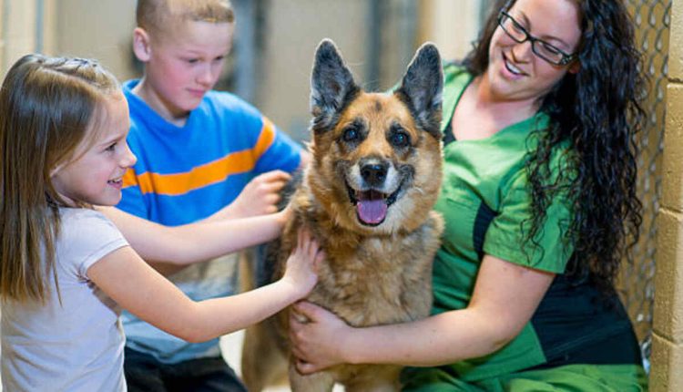 Pet-Tracs Adoptions