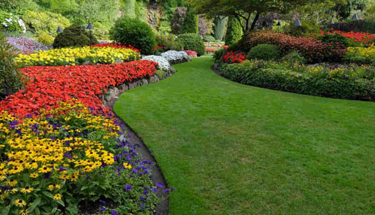 Trio Landscaping Las Vegas