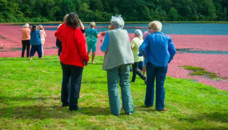 New England Fall Tours For Seniors