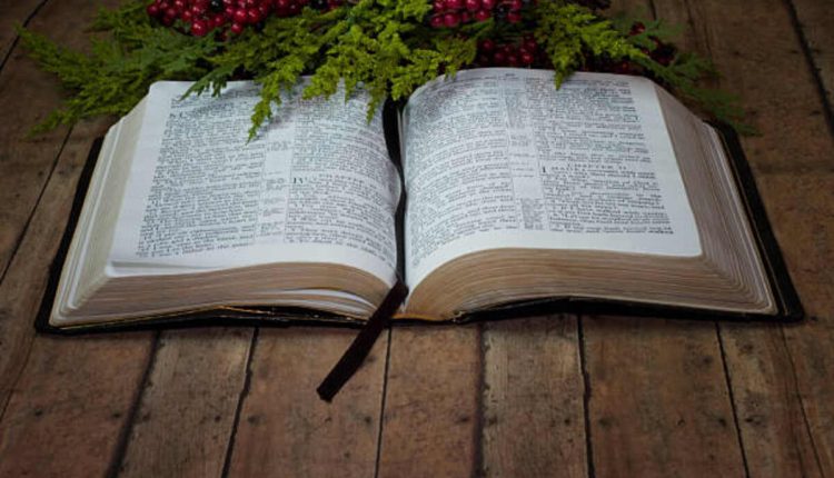 Bible Verse About Celebrating Life