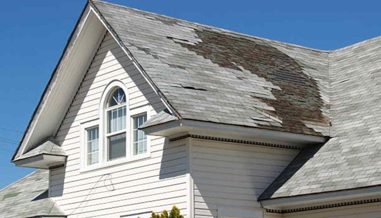 modernize green solutions
