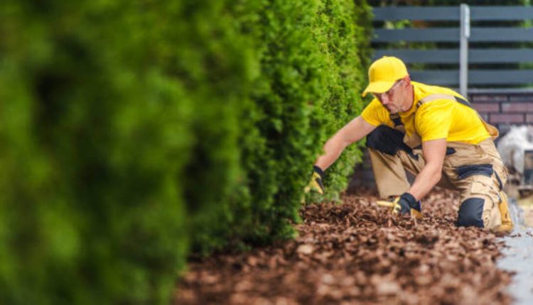 landscaping Sunnyvale