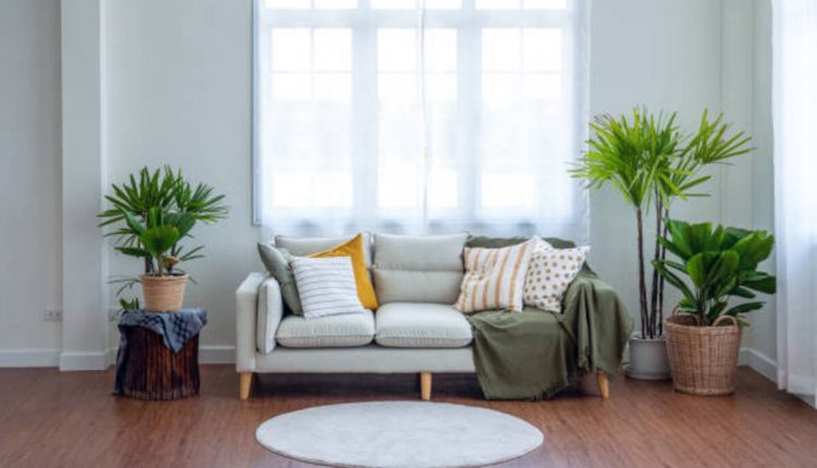 Couchbezüge
