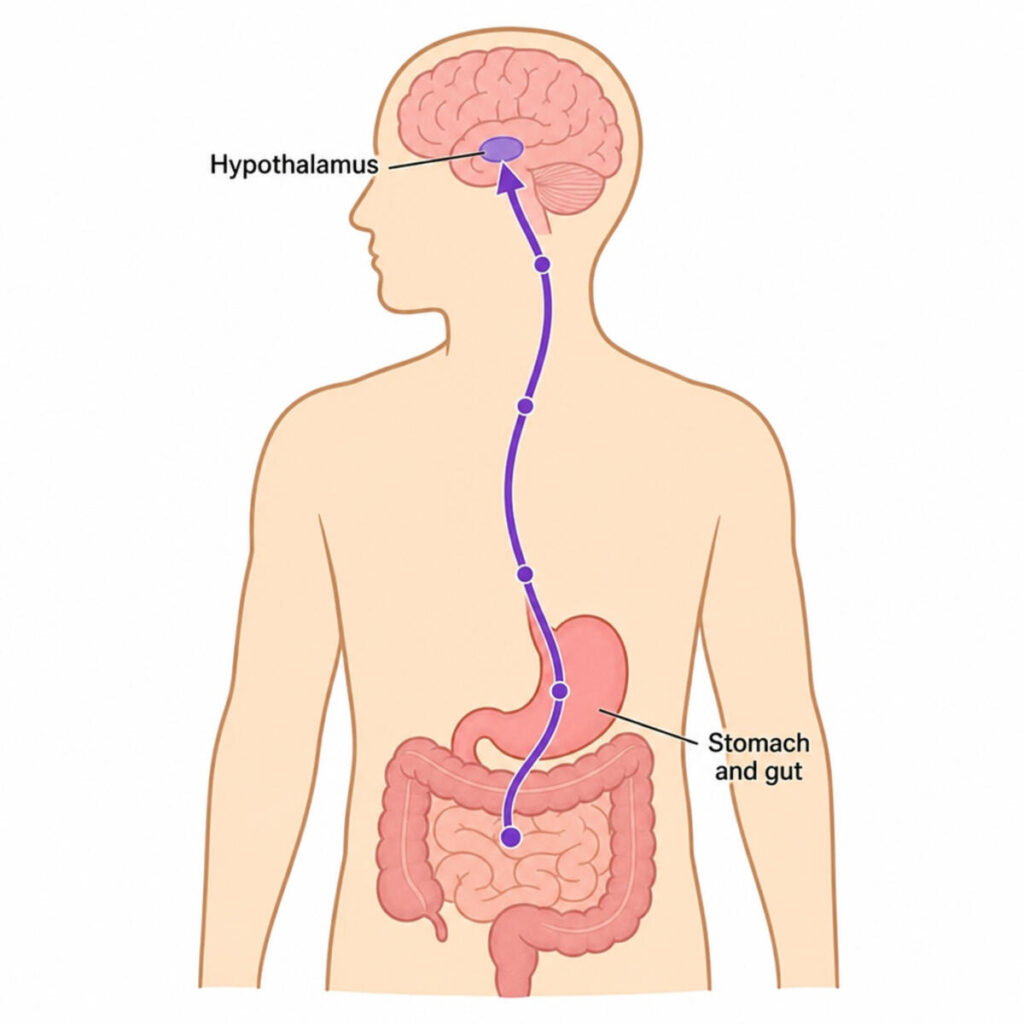 wegovy weight loss injections